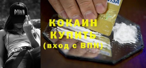 ECSTASY Алзамай