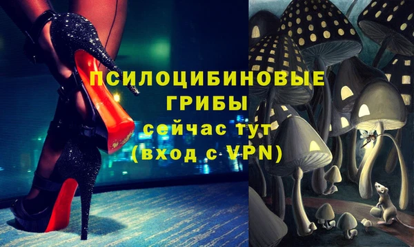 соль курить ск Алексеевка
