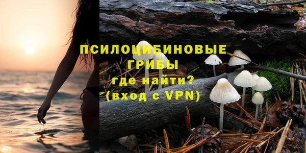 ECSTASY Алзамай