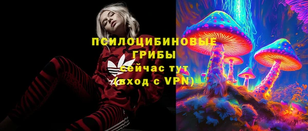 ECSTASY Алзамай