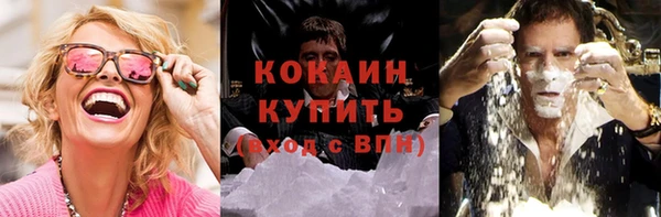 ECSTASY Алзамай