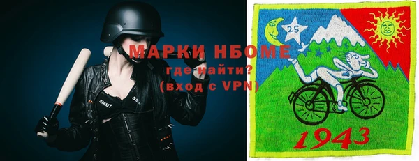 ECSTASY Алзамай