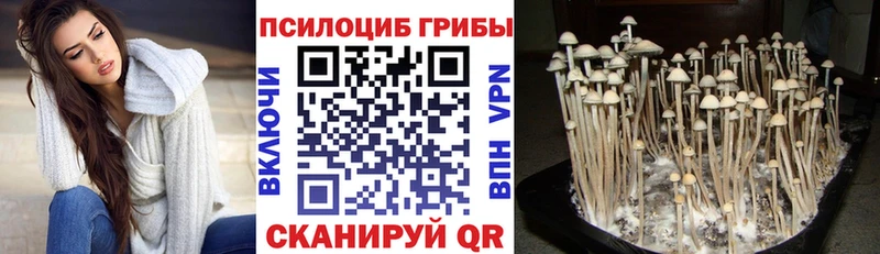 Галлюциногенные грибы Cubensis  omg ONION  Армянск 